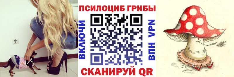 Галлюциногенные грибы Cubensis  купить наркоту  Сухой Лог 