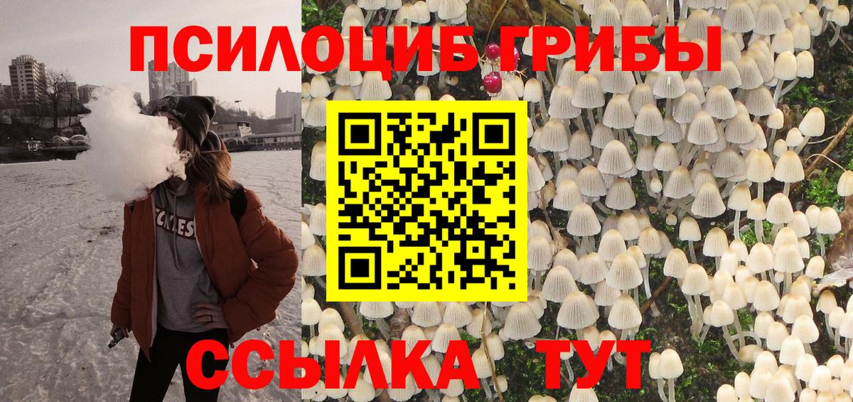Псилоцибиновые грибы Psilocybine cubensis Сухой Лог
