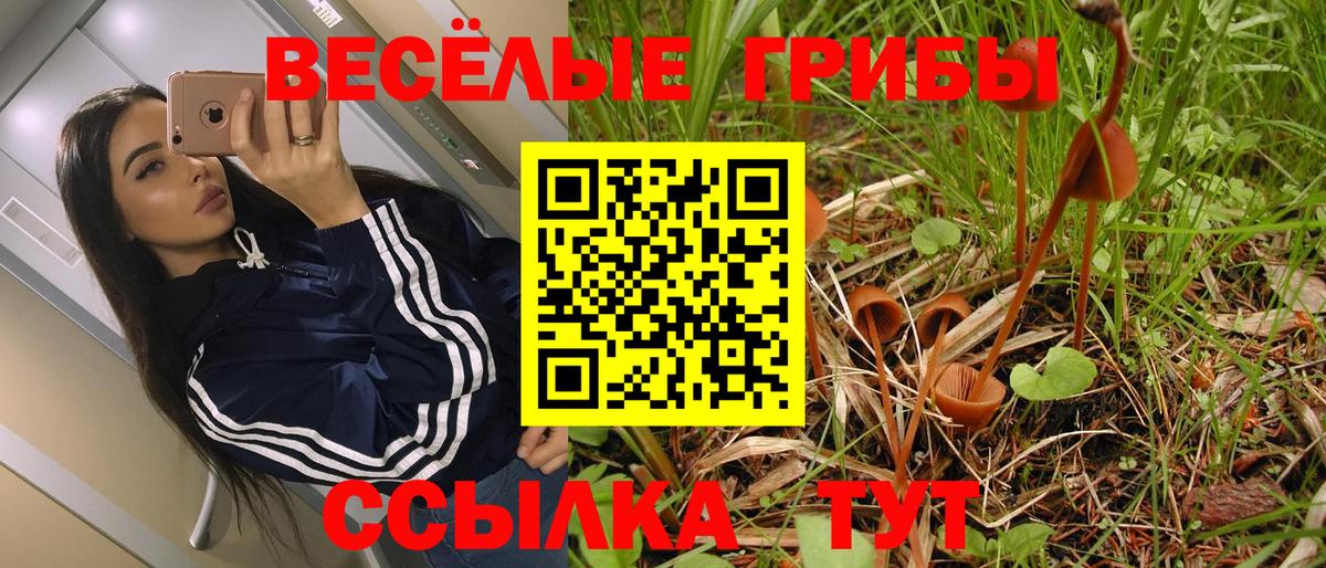 Канабис  Вход с VPN  ГАШИШ  Сухой Лог  НБОМе  Меф кристаллы  Где купить  ГАШ  Экстази  МЕТАДОН 