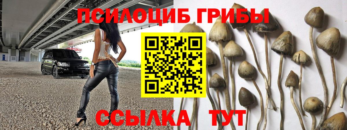 где можно купить наркотик  Вход с VPN  Псилоцибиновые грибы мухоморы  Сухой Лог  Галлюциногенные грибы ЛСД 